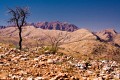 Larapinta_20080601_141 copy